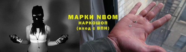 индика Абаза