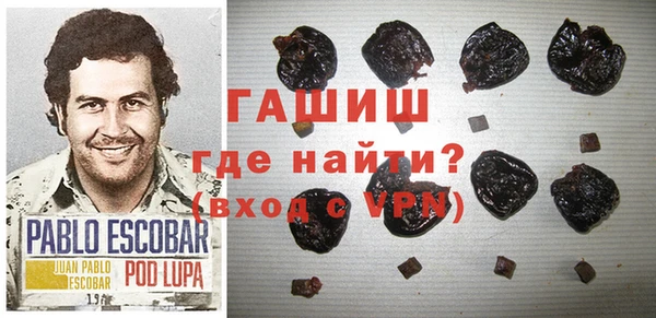 индика Абаза