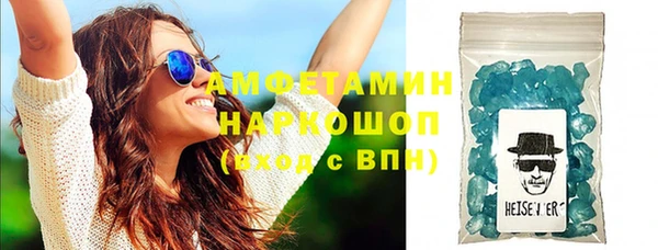 индика Абаза