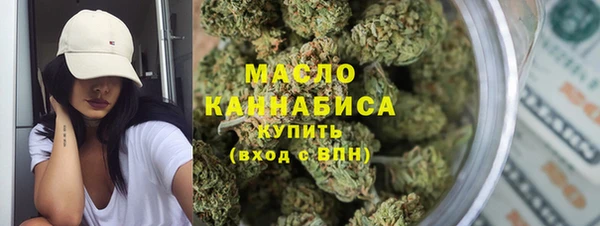 индика Абаза
