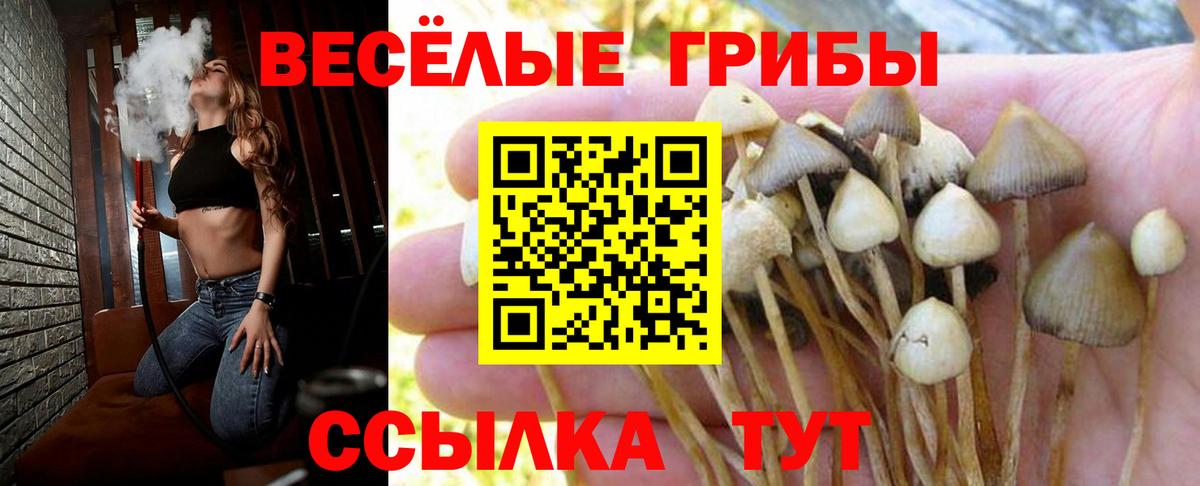 Псилоцибиновые грибы MAGIC MUSHROOMS Кохма