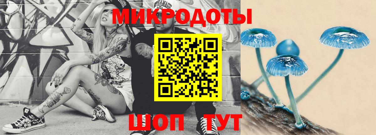 Псилоцибиновые грибы GOLDEN TEACHER  Вход с VPN  цены   Кохма 
